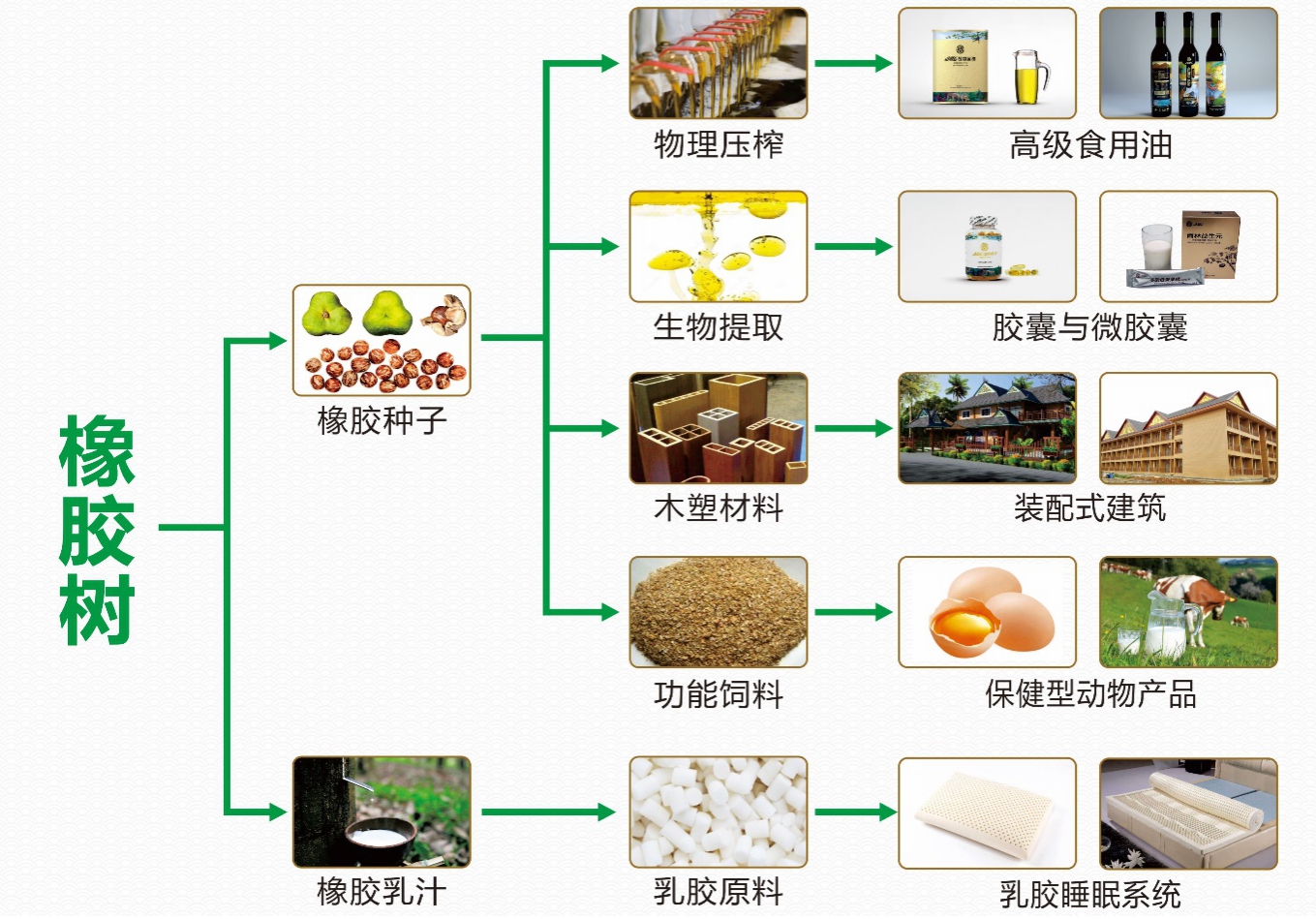 全民国家安全教育日-天然橡胶安全生产（十）(图1)