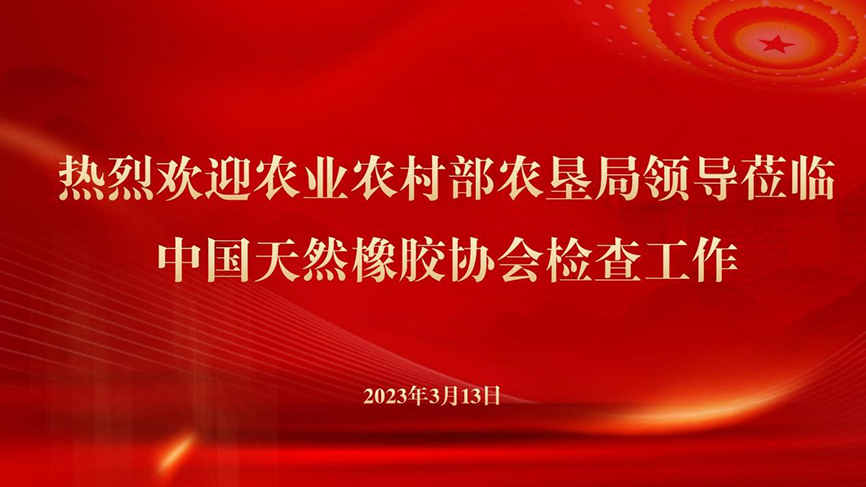 部农垦局副局长程景民一行莅临中国天然橡胶协会检查工作(图1)